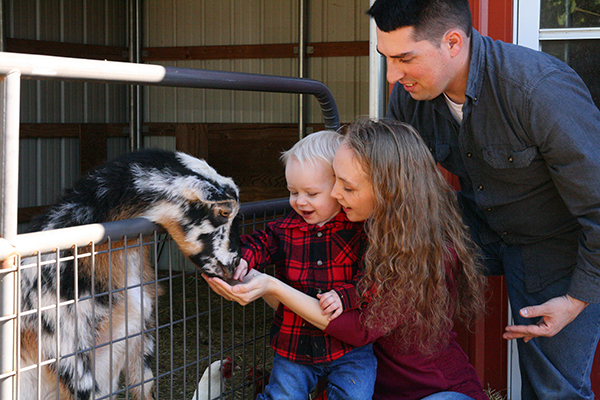 famlily photography feeding goat