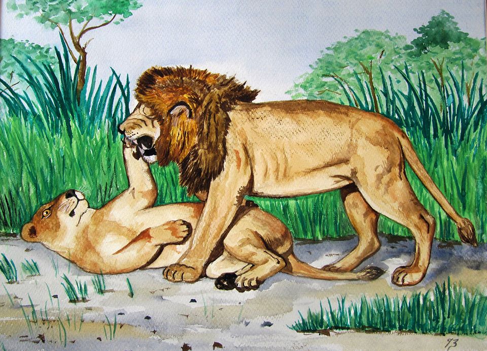 Original Artwork Lions