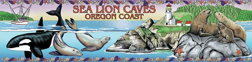 Sea Lion Cavers Killer Whale, Sea lions, light house