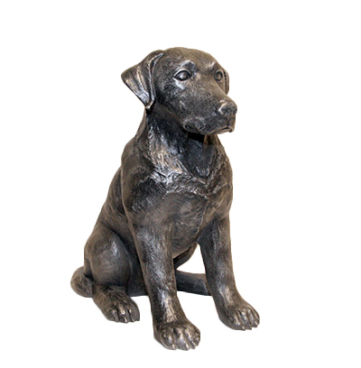 product photography metal looking dog